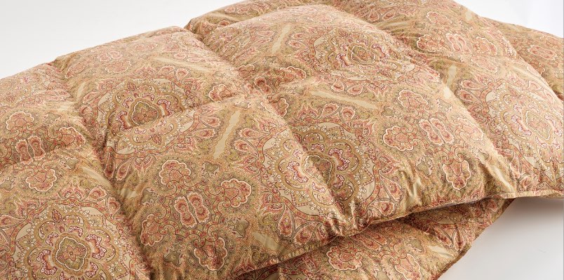 Br B Notice B Undefined Variable Current In B Home Users 2 Wasewase Web Inc Header Html B On Line B 7 B Br Br B Notice B Undefined Variable Page Title In B Home Users 2 Wasewase Web Inc Header Html B On Line B 7 B Br